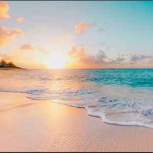 Meet your Posher, Rhomina